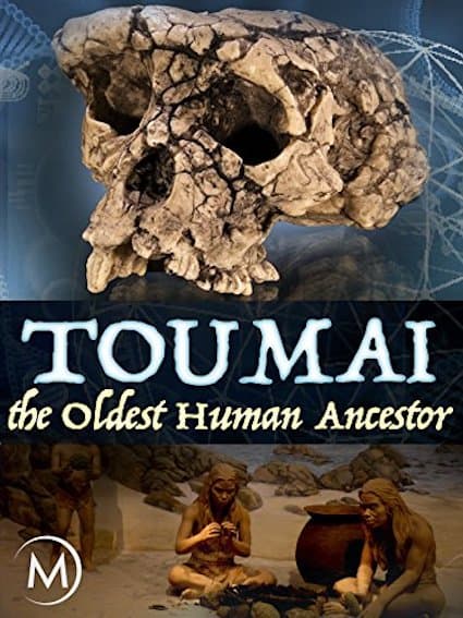 Filmposter: Toumai, opgenomen bij Dada Studios